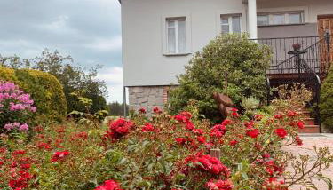 Agroturystyka Natalia - Foto 3