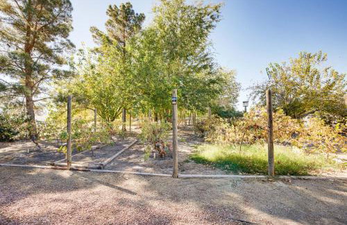 3 Mi to Dtwn Pahrump Romantic Desert Oasis - Foto 23