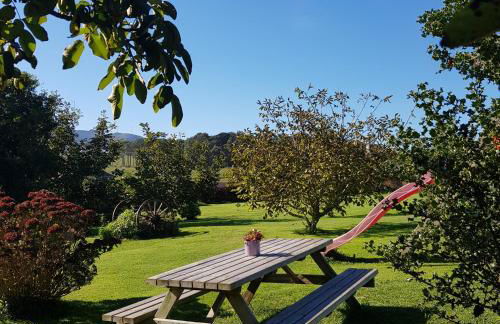 Apartamentos Rurales Casa Pachona - Foto 9