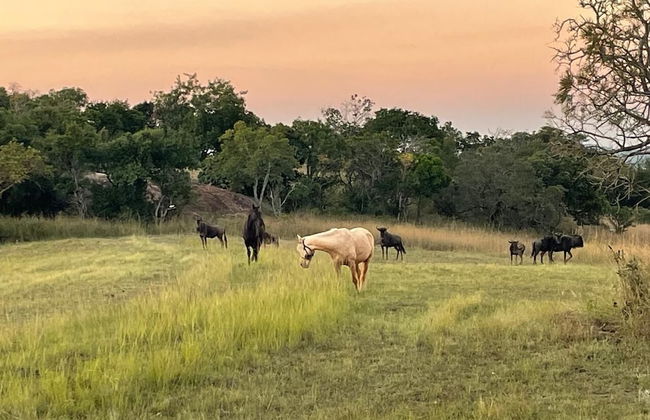 AtNature Luxury Self Catering Cottages - Foto 55