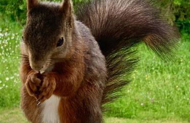 Studio Hase Saig - Photo 52