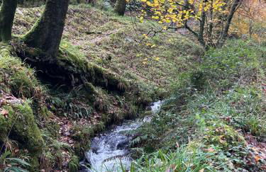 North Devon seaside cottage with log burner - Foto 37