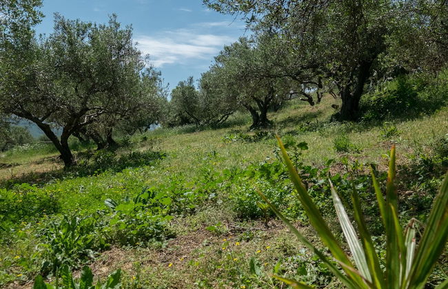 Traditional Cretan Family Home - Foto 33