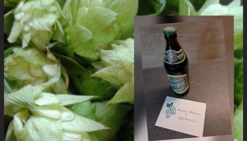 Holledauer Hopfakammerl - Foto 5