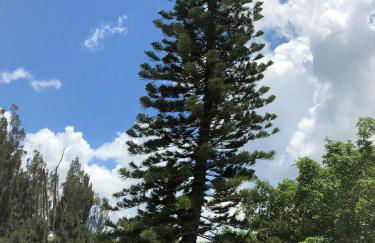 Addy's Villas - Foto 65