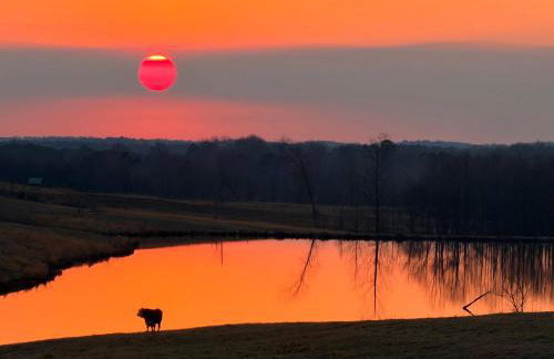 The Prairie House Retreat - Foto 40