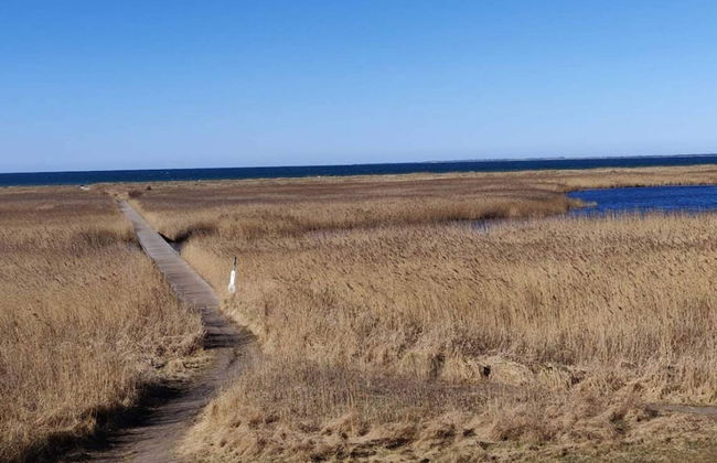 6 Person Holiday Home in Hojby - Photo 18