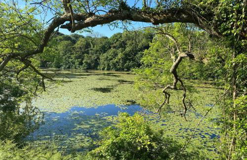 3 Bed in Cosheston oc-90732 - Foto 16