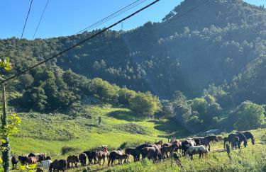El rincón de Voto - Foto 8