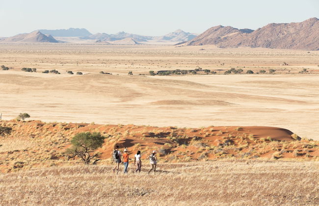 Desert Whisper - Foto 15