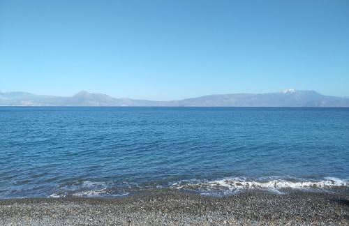 Palm tree house by the beach - Foto 44