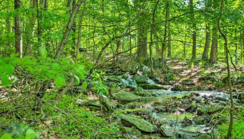 Renovated Studio on 5 Acres - Near Vineyards! - Foto 3