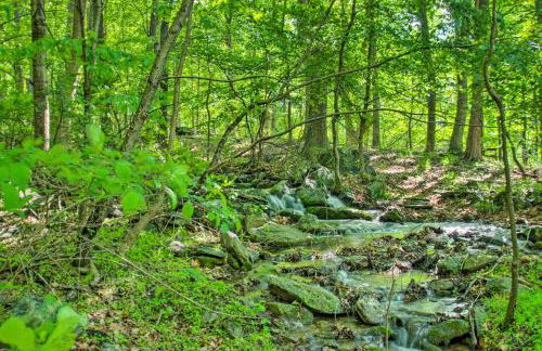 Renovated Studio on 5 Acres - Near Vineyards! - Foto 3