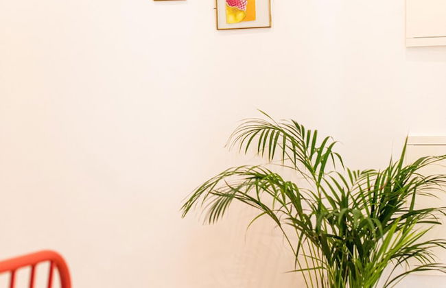 Apartamentos Ferreiros - Foto 44