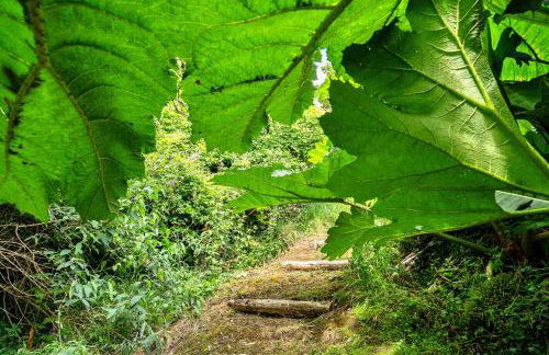 Finest Retreats - Tregatreath - Foto 55