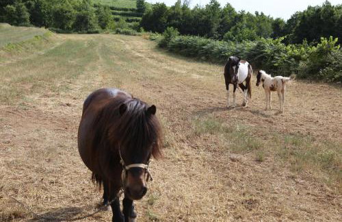 Agriturismo Pirara - Foto 9