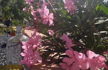 Villa Carmeryl - Photo 22