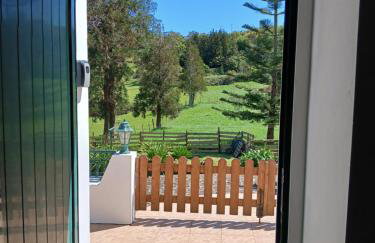 Casa da VíVí - Foto 4