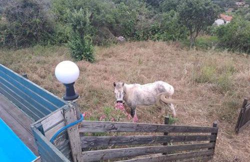 Villa Skantali - Foto 84