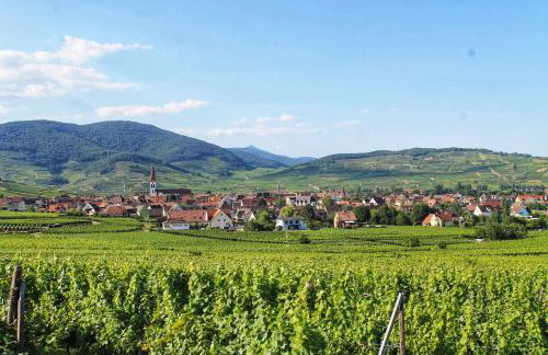 Aux 6 hirondelles - Foto 43