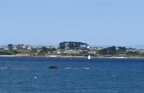 Villa Ty Mogué 4 étoiles Vue mer & SPA privatif, plage et Gr34 à pied - Photo 63