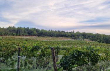 Fattoria Carsica Bajta - Photo 27