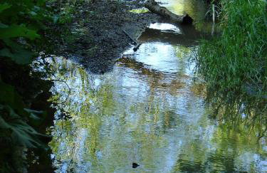 Agroturystyka Śliwkowy Sad - Foto 16