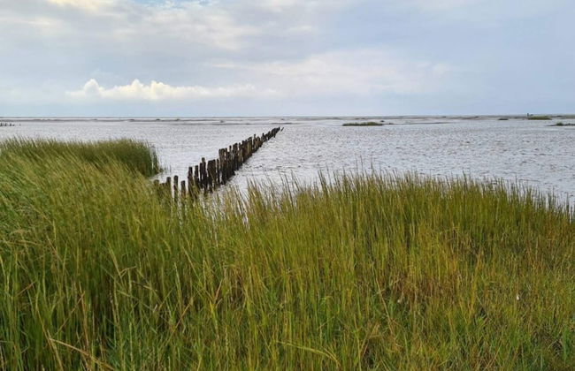 6 Person Holiday Home in Ribe-by Traum - Foto 30