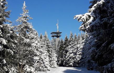 Panoramaferienwohnung Bergwiese - Foto 25