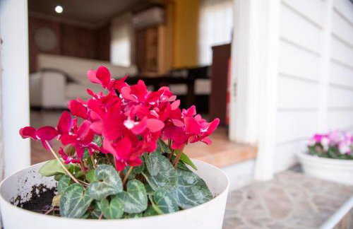 Casa Melchor - Photo 50