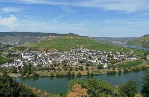 Ferienwohnungen Felten in Minheim - Foto 34