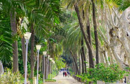 Malaga Centre Apartment with Parking - Photo 33