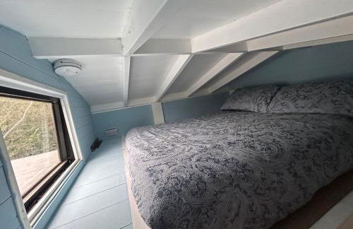 Bon yr Llew, Coity Bach - Foto 5