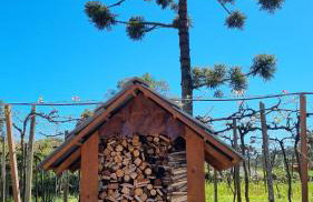 CABANAS LE VIGNE - Foto 65