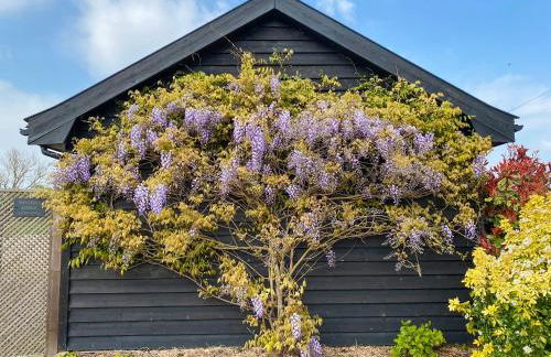 Wisteria Lodge - Ukc5804 - Foto 16