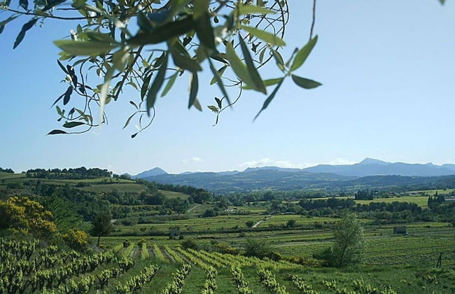 Appealing Apartment in Sankt Aldegund - Photo 13