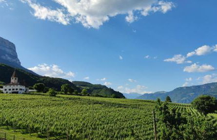 Highlight Apartments - Foto 58