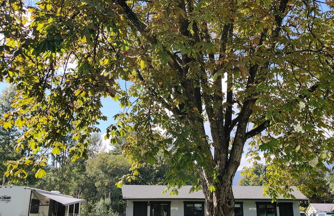 Pathfinder Camp Resorts Agassiz - Foto 48