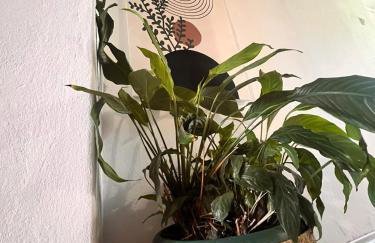 Holiday home Metulum - Foto 39