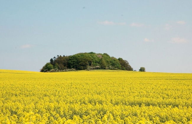 in the Holiday Home Sudstrand - Foto 16