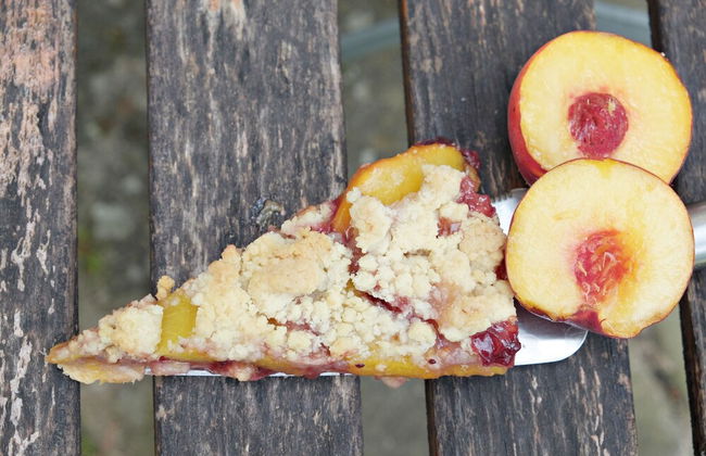 Schloss Neuenhagen - Photo 31