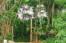 Casa Rudá Paraty - Foto 21