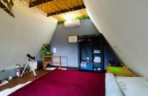 UNDER THE GREEN ROOF - Foto 53