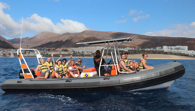Fuerteventura Dolphin & Whale Watching by Speedboat + Snorkel - Foto 2