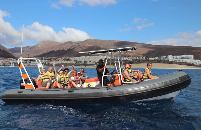 Fuerteventura Dolphin & Whale Watching by Speedboat + Snorkel - Foto 1