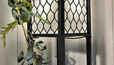 Snowdrop 13-Hot Tub-Woodlandlodges-Carmarthenshire - Foto 5