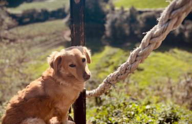 Nature Sanctuary, a semi-detached house on an ecological & sustainable farm - Foto 17