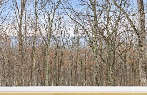 Cozy Mountain Retreat with Hot Tub & Fire Pit - Foto 68