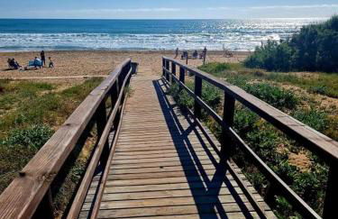 Vista Soleada - Photo 23