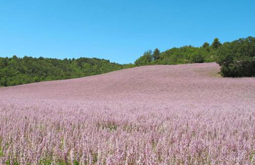 Holiday Home L'Amandier by Interhome - Photo 43